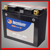 BATERIA TECNIUM BT12ABS 9,5 AH